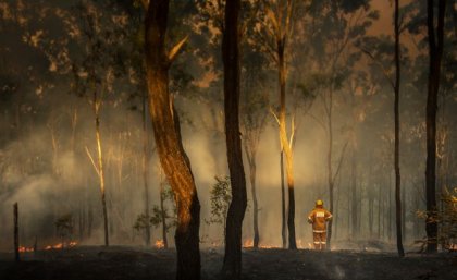 a person in orange overalls wearing a helmet stands by small flames among smoking trees 